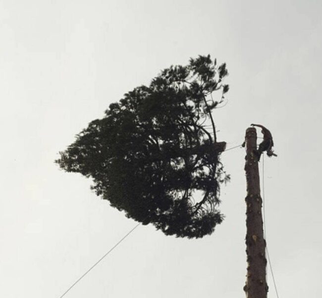 xr:d:DAF-vCd4Dq4:12,j:5394607281341966478,t:24030613