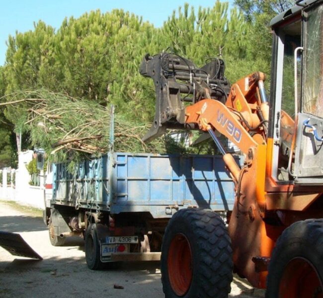 xr:d:DAF-vCd4Dq4:12,j:5394607281341966478,t:24030613