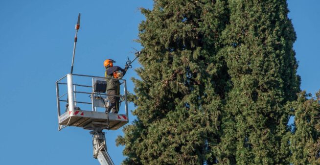 xr:d:DAF-vBSlX_w:16,j:362960597998100418,t:24030613