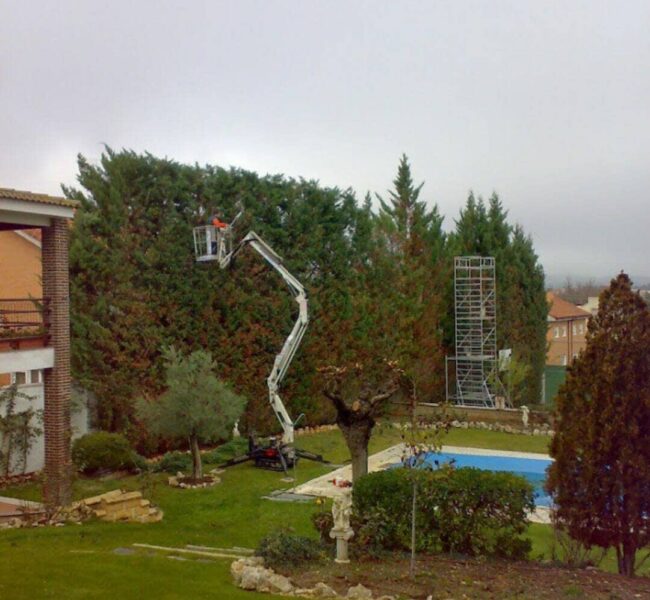 xr:d:DAF-vCd4Dq4:12,j:5394607281341966478,t:24030613