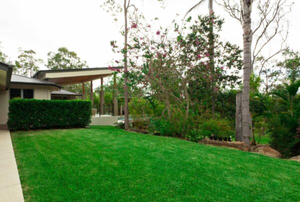 la_mejor_forma_de_cuidar_y_mantener_el_cesped_de_tu_casa