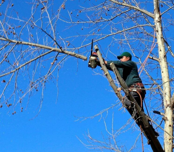 xr:d:DAF-vCd4Dq4:12,j:5394607281341966478,t:24030613